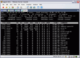 VMware Console Screen Shot
