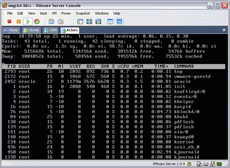 VMware Console Screen Shot VMware Console Screen Shot